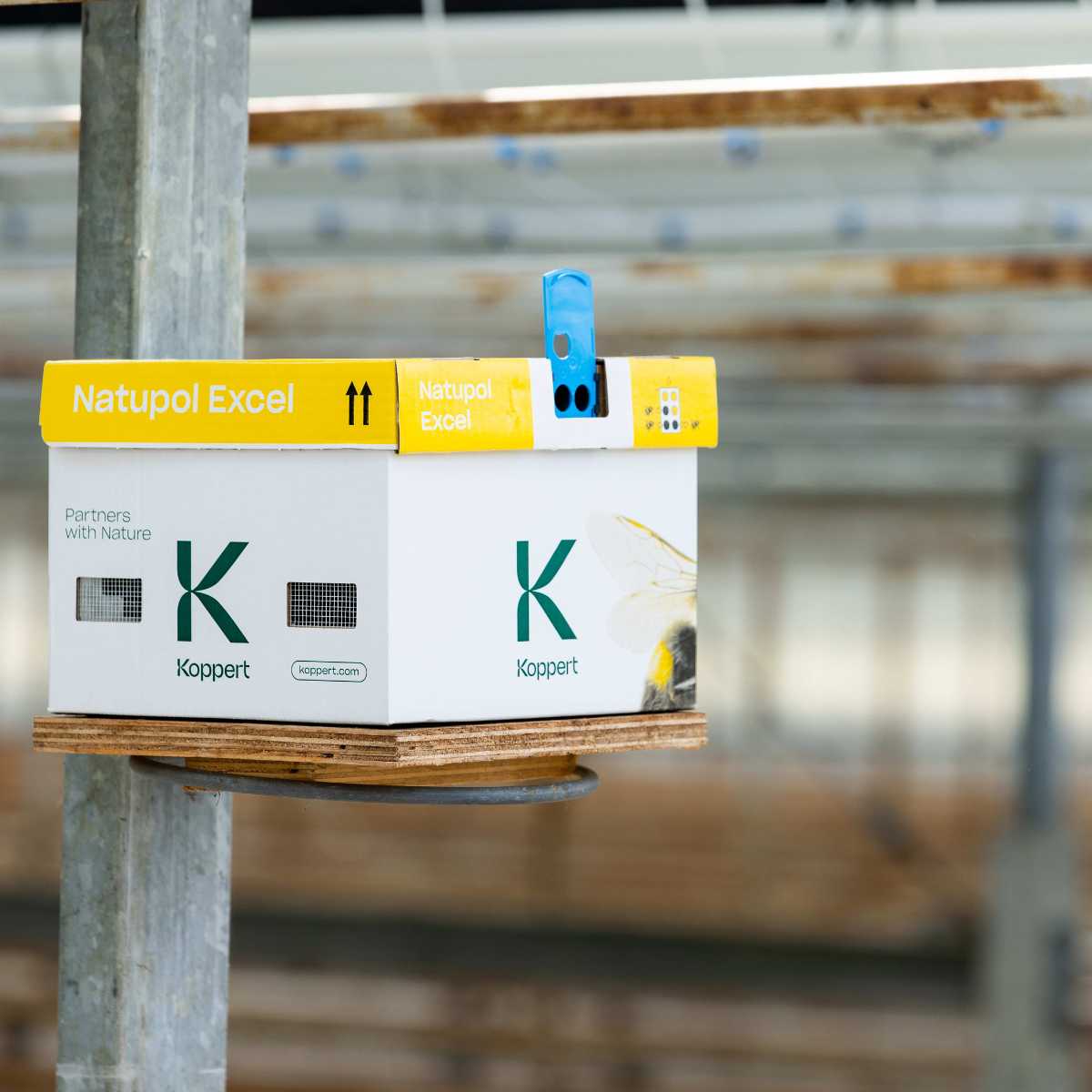 A packaged product labeled 'Natupol Excel' by Koppert placed on a wooden shelf in a greenhouse