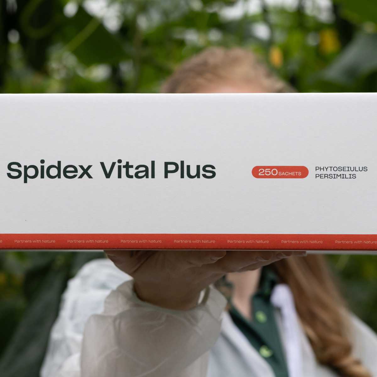 A white and orange box labeled 'Spidex Vital Plus' by Koppert