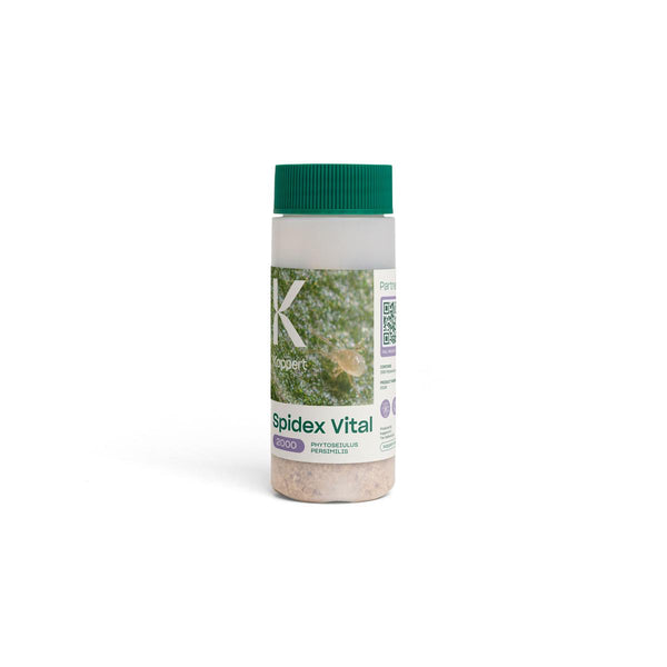 Small 100ml bottle of spidex-vital 2000