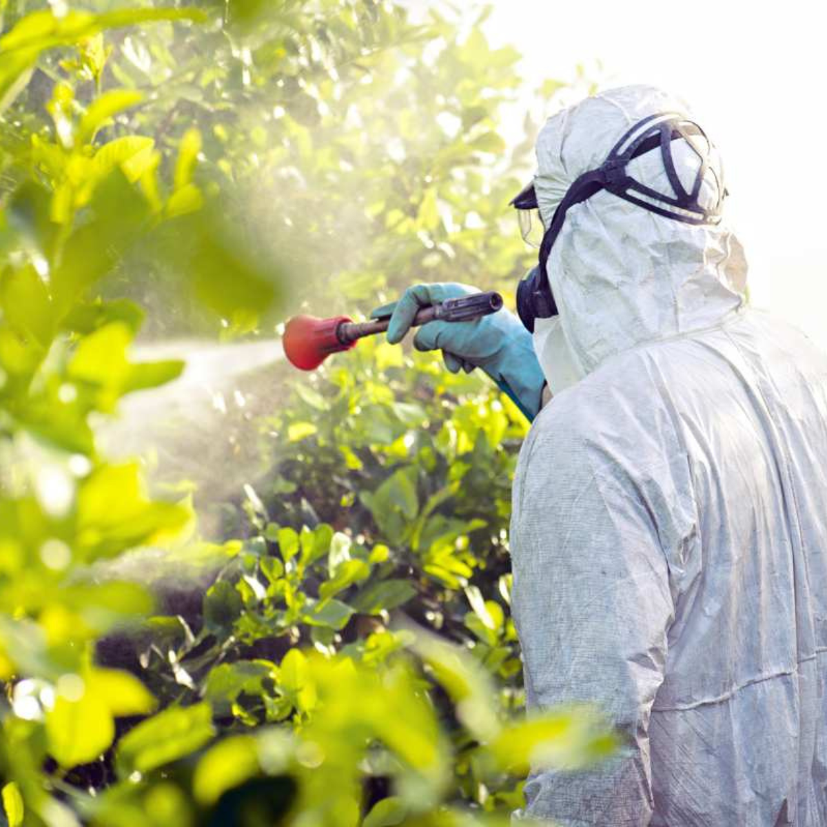 Qu'est-ce que la lutte intégrée contre les ravageurs (IPM) et en quoi est-elle importante pour les agriculteurs ?