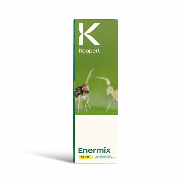 Cartes combo Enermix