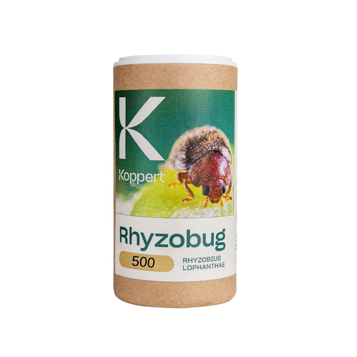 A product packaging labeled 'Rhyzobug 500' featuring an image of a predatory beetle on a green leaf.