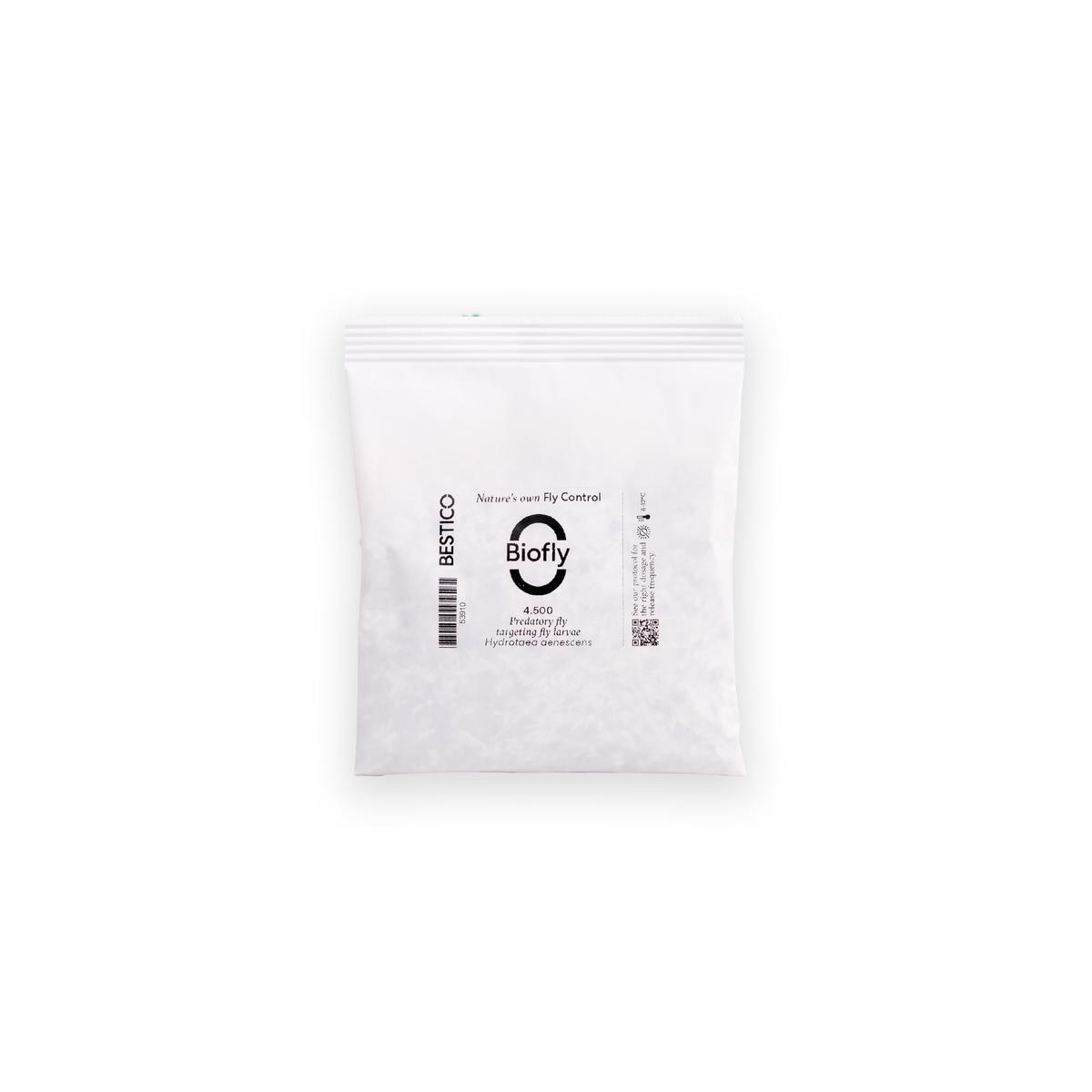Image of biofly (Hydrotaea aensescen): Only Packshot