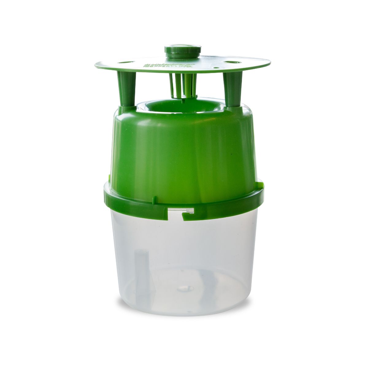 A green and white insect trap designed for monitoring and trapping male box tree moths.