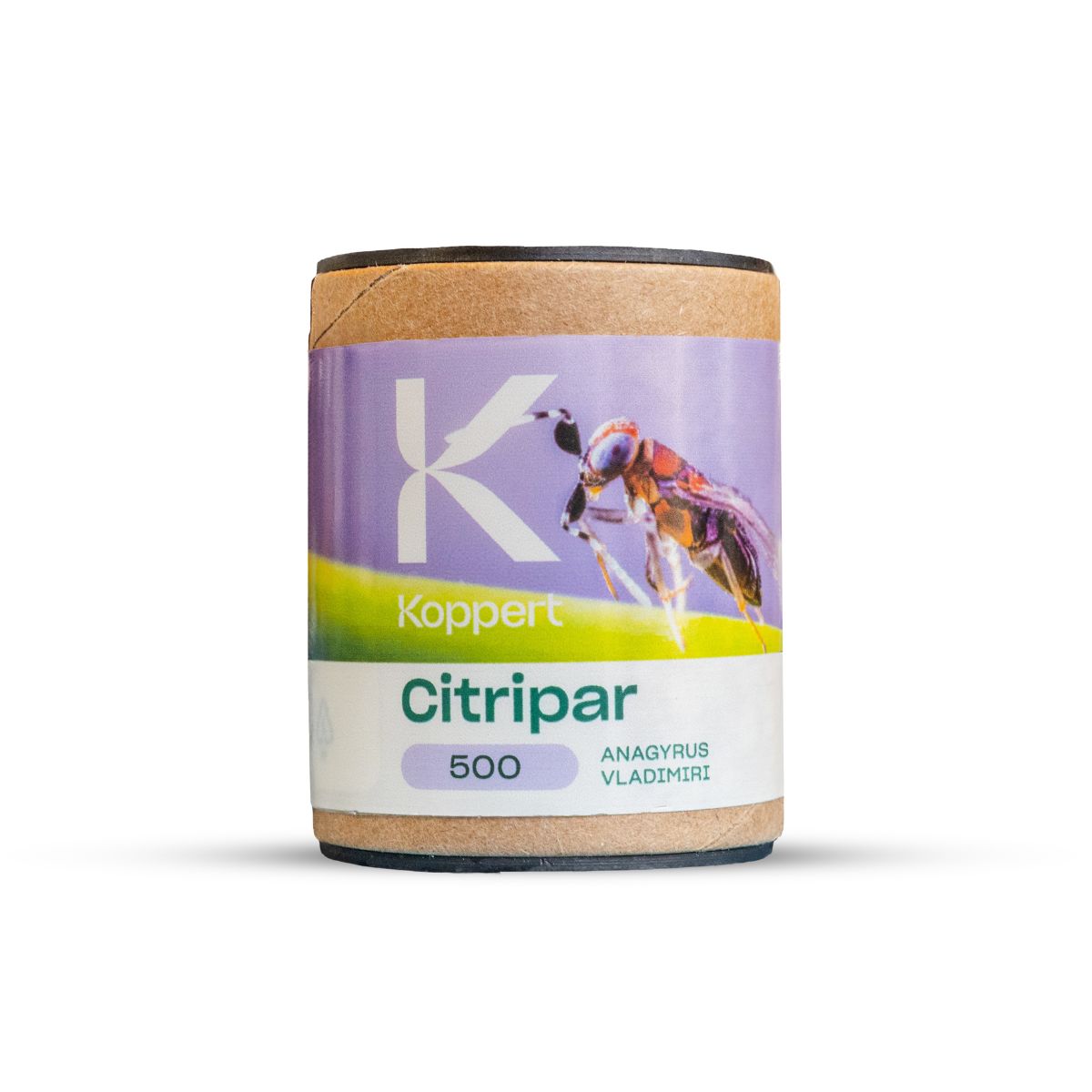 A product image featuring a container of Citripar, which is a parasitic wasp used for controlling mealybugs in various plants.