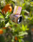 Container of Citripar hanging from a tree with oranges in the background.