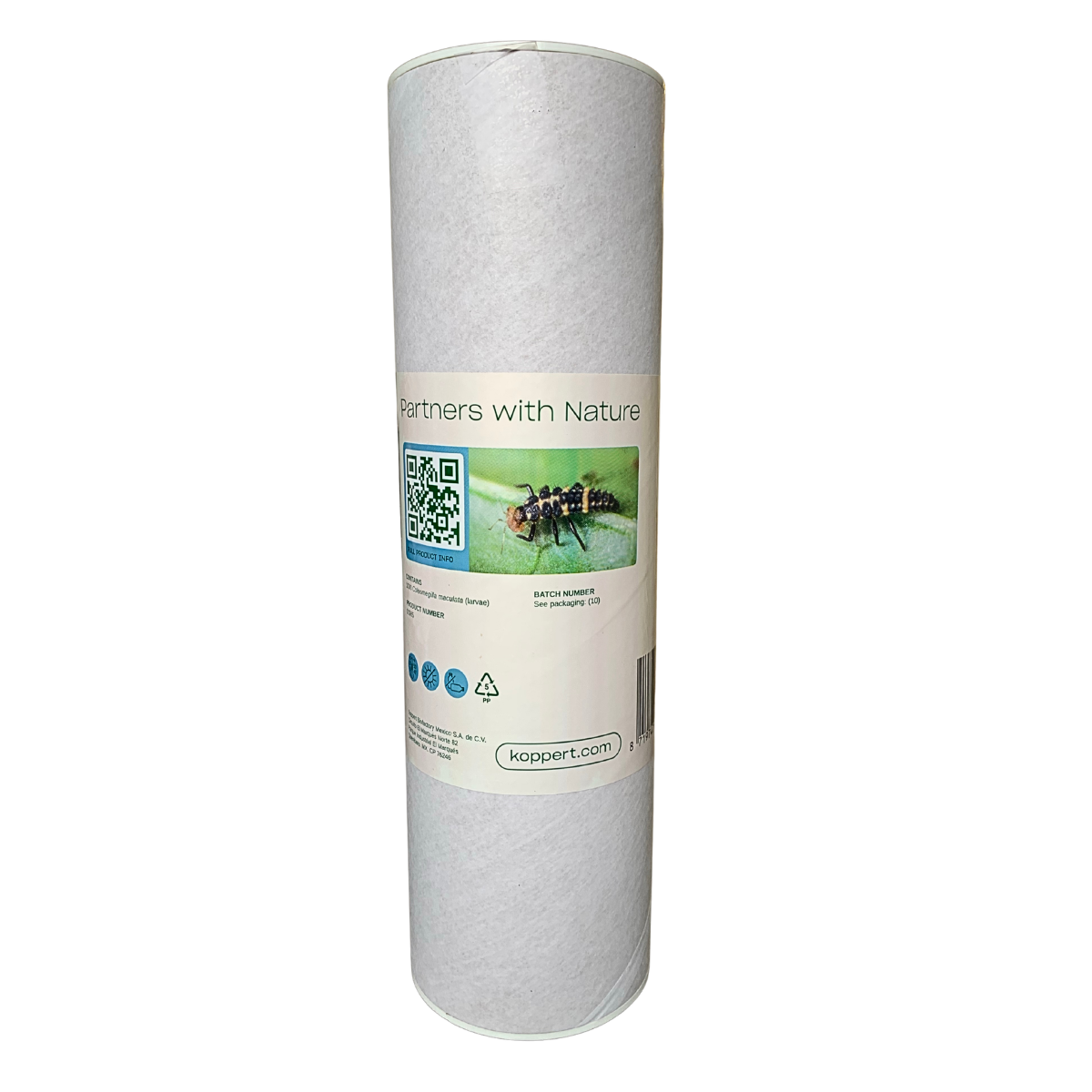 Cardboard cylinder with a label on a white background