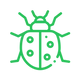 Green icon of a ladybug on a white background