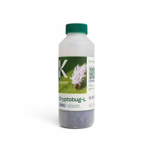 Bottle of cryptobug on a white background