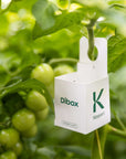 la photo d'une petite boîte blanche étiquetée "dibox", suspendue à un plant de tomates
