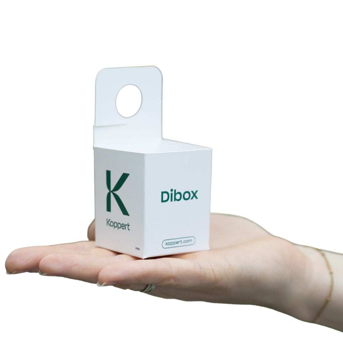 A small white cardboard dibox distribution box with a green 'K' and 'Dibox' branding, held in a person's hand.