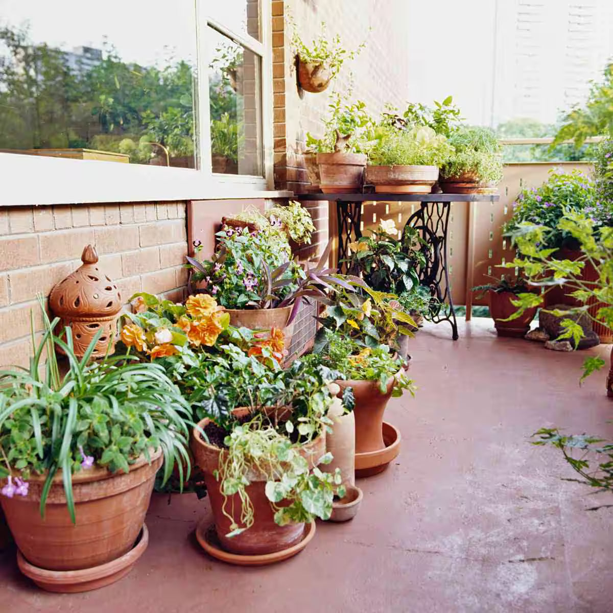 Potted plants on a sunlit patio with a view of trees outside.