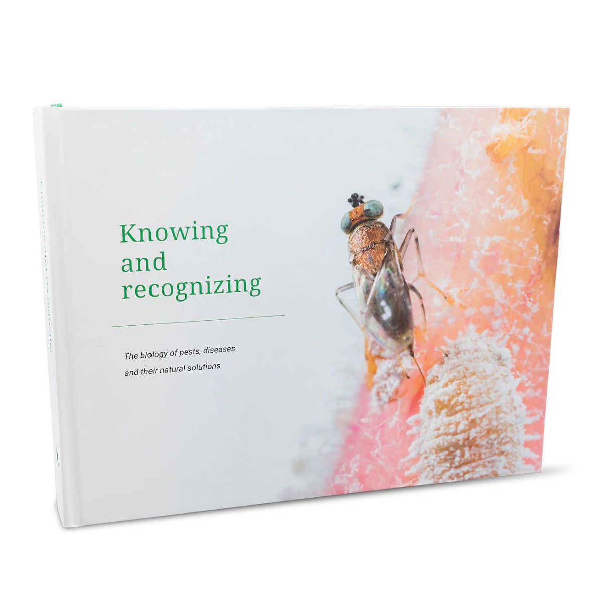 Picture of knowing and recognizing book cover in english