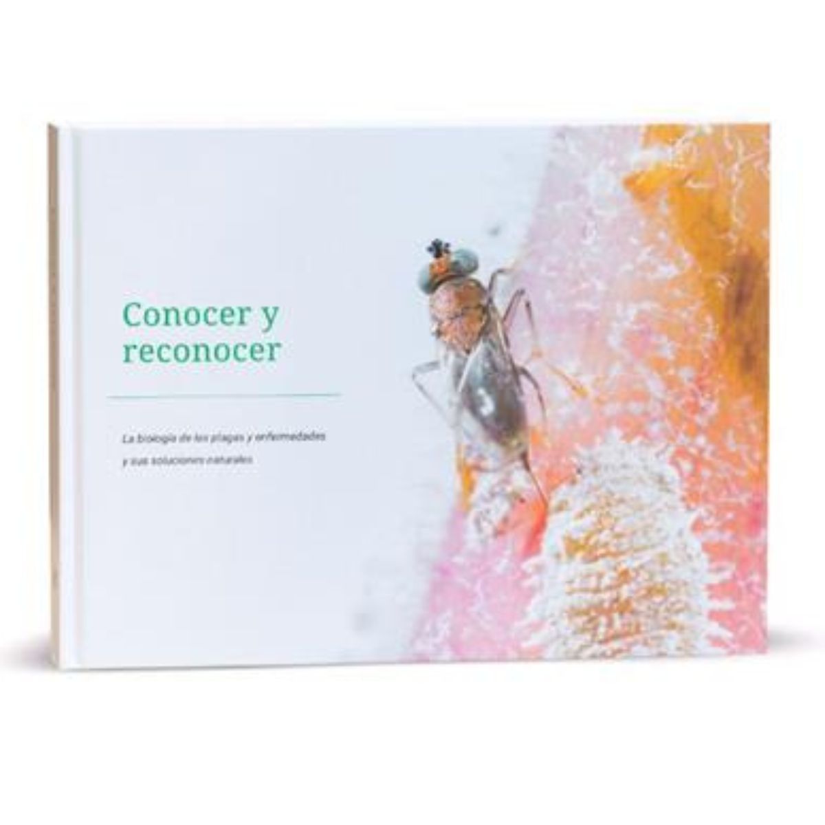 picture of Knowing and Recognizing book in Spanish