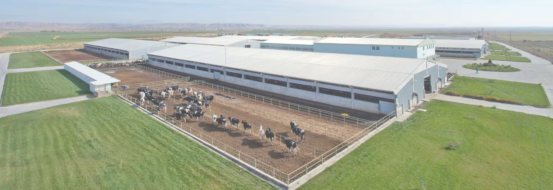 Large industrial building with livestock on a farm