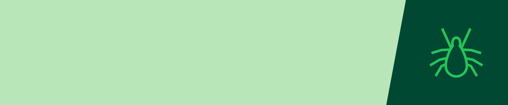 Green icon of a mite on a green background