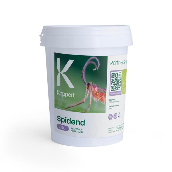 Spidend 250 in 550ml plastic cup