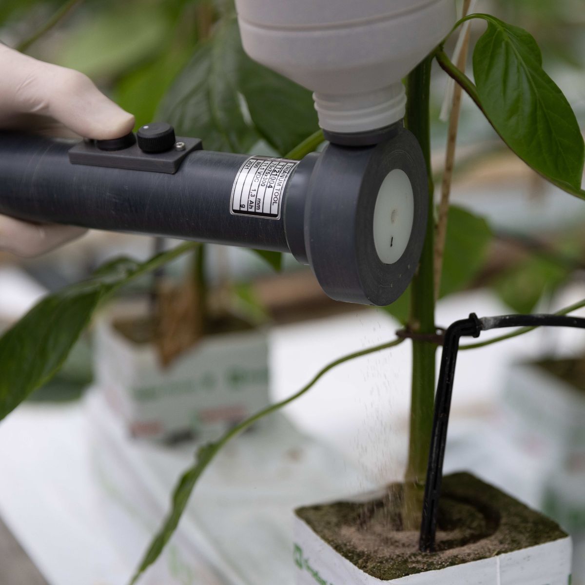 black trianum-g tool being used on plants