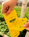 une personne séparant les cartes de bâtonnets jaunes avec des plantes floues en arrière-plan