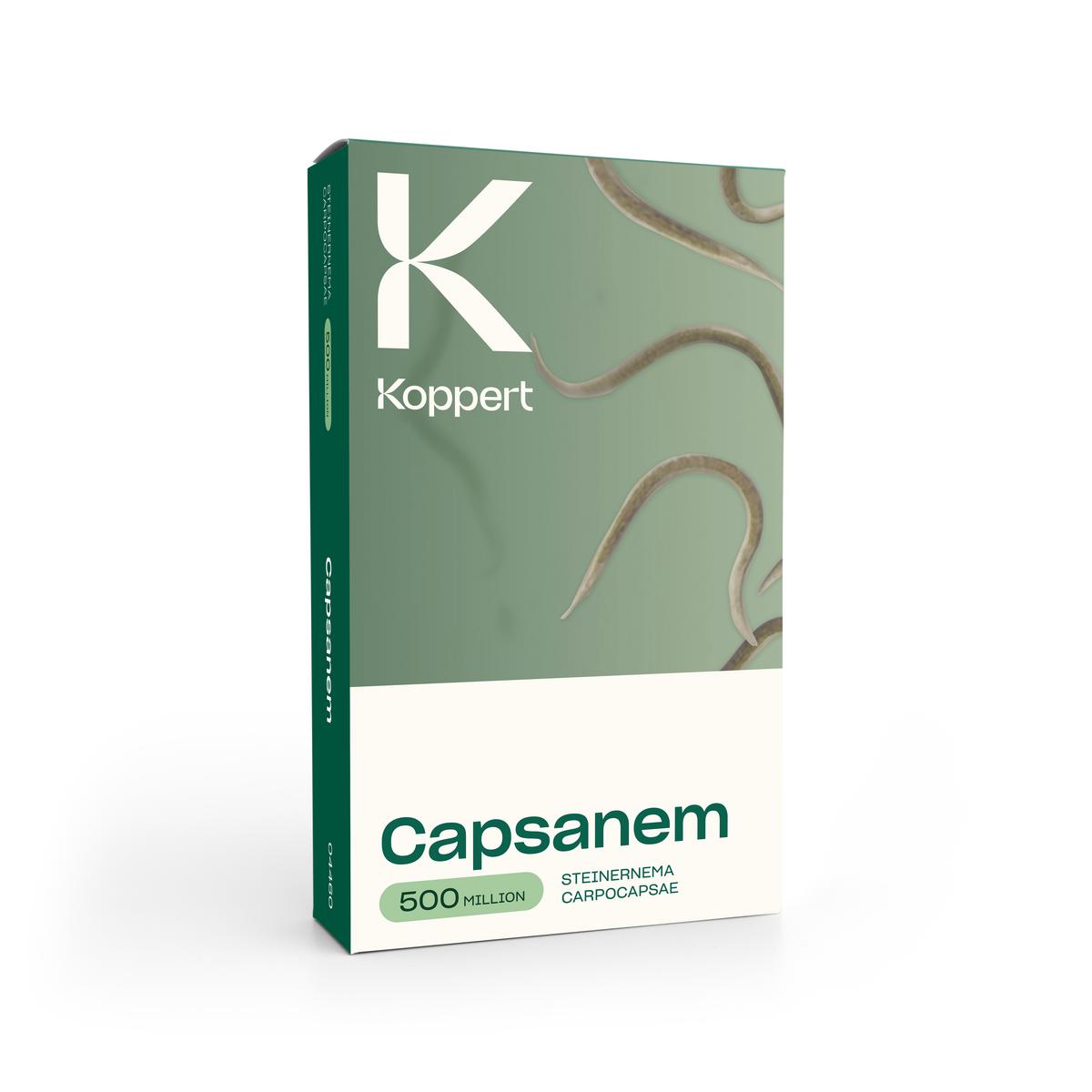 Capsanem 500 millin box 