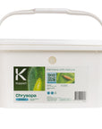 Large 6l bucket of chrysopa 10,000