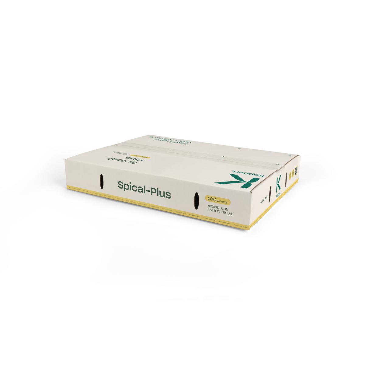 Smaller sized white box of spical plus