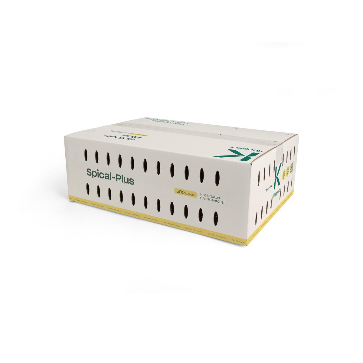 Larger sized white box of spical plus 